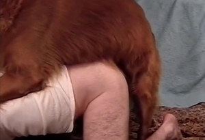 Submissive fellow gets humped by a horny brown doggie