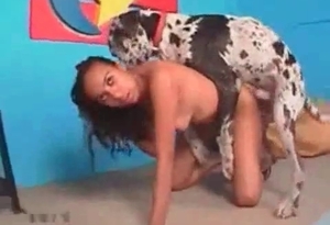 Sexy Dalmatian is enjoying filthy bestiality porn