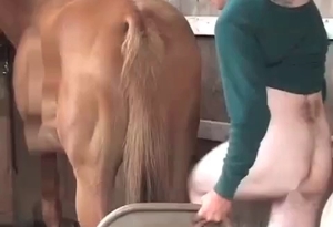 Sexy horse got nicely fucked from behind