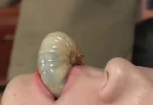 Asian slut is not ashamed to have sexy fun with a larva