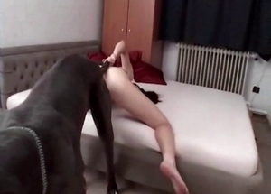Sexy trained doggy and a hot chick have good fuck