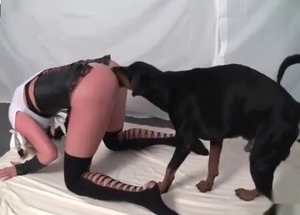 Black hound is having sexual fun with a zoophile pussy