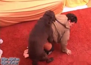 Zoophile with a mask on gets on knees and is banged hard