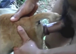 Sexy animal will take his penis all the way dep