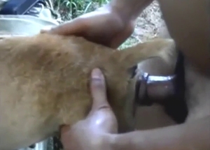 Sexy animal will take his penis all the way dep