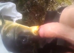 Fish blowjob is a fucking creative fellatio style