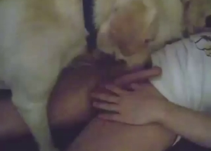 Two dogs pleasing one dude in a hot-ass movie