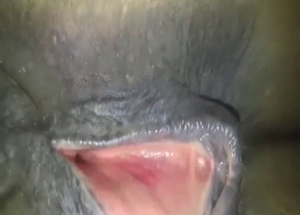 Anus and clit close-ups from a sexy animal