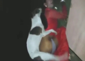 Trans hottie in red gets her asshole rammed by dog