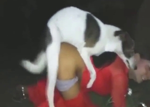 Trans hottie in red gets her asshole rammed by dog