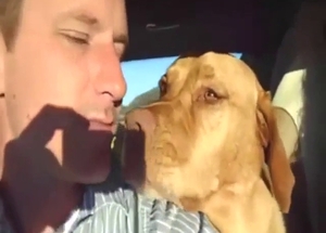 Dude Frenching his dog while they are in the car