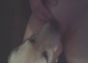 Fucked on the first try, it's a hot XXX movie